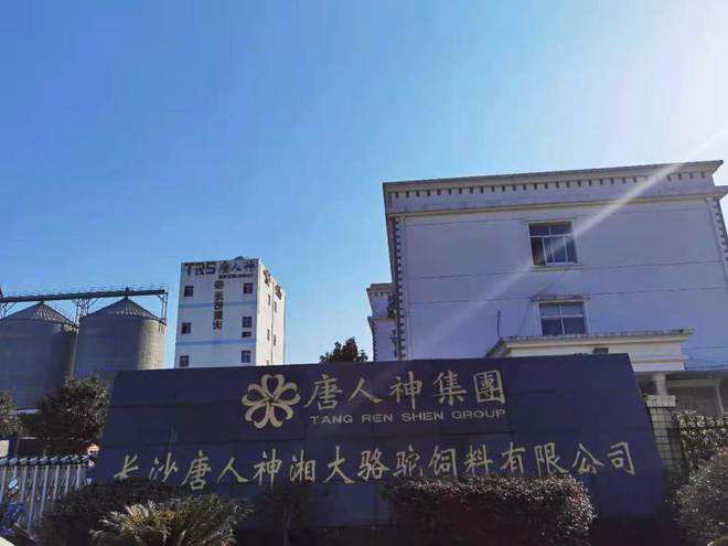 这5大方向连跌1年业绩有望大增迎来炒作PG麻将胡了模拟器每年1月必炒业绩报