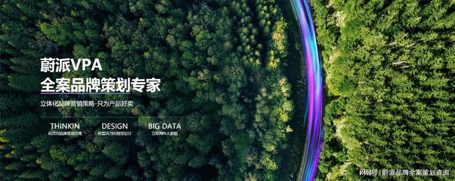 计：塑造独特形象的综合艺术麻将胡了模拟器品牌全案设